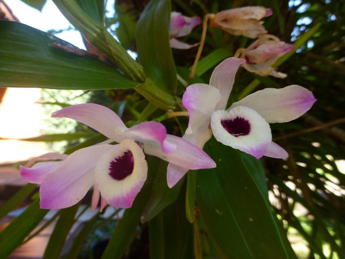 Posada Del Angu ปูแอร์โตอีกวาซู ภายนอก รูปภาพ